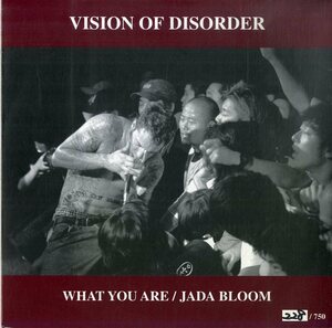 C00202374/EP/Vision Of Disorder / Minor League / Wrongside (2)「What You Are/Red Zone/Jada Bloom/Kuh」