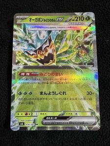 ★送料無料★美品★ポケモンカード　変幻の仮面　オーガポン　みどりのめんex　SV6 016/101 RR