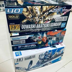 ガンプラ　新品4点　アカツキ　キャリバーン　ラーガンダム アカハナベアッガイ