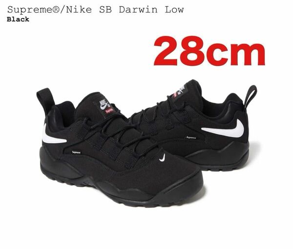 Supreme × Nike SB Darwin Low Black 28cm