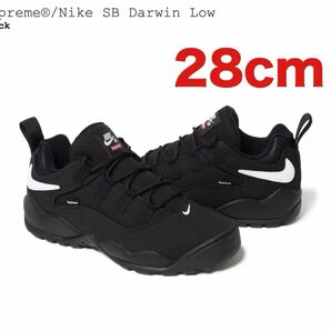 Supreme × Nike SB Darwin Low Black 28cm