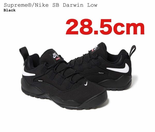 Supreme × Nike SB Darwin Low Black 28.5cm