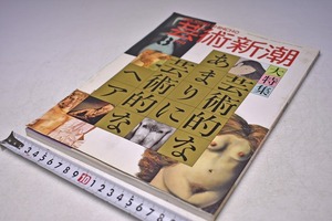 芸術新潮　１９９２年　８月号　★　芸術的なあまりに芸術的なヘア　★　定価１４００円　★　