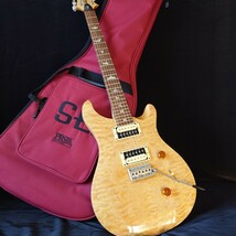 PRS SE Custom24　ナチュラル _画像2