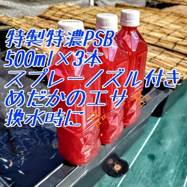 使いやすいスプレー付！特製濃縮PSB 光合成細菌 500ml3本＝1.5L 自信があり!メダカ、卵、熱帯魚にも稚魚や針子の餌 卵に