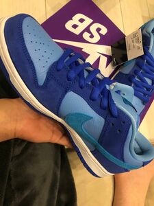 Nike SB Dunk Low "Blue Raspberry" 29cm