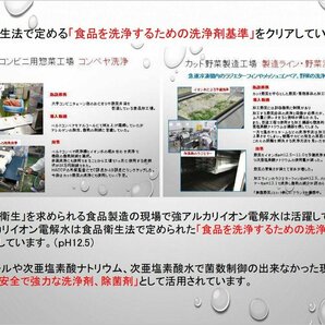 青森強アルカリ電解水 アルカリイオン水 2L 強アルカリ電解水 油汚れ 除菌 消臭 低農薬野菜 送料無料 宅配便 【商品番号3201】の画像10