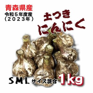 令和5年産新物 青森県産 土付きにんにく SMLサイズ混合 １㎏ 福地ホワイト六片種【8069】