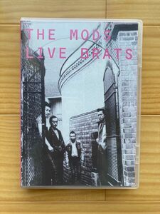 [国内盤DVD] THE MODS/LIVE BRATS 【美品】【週末限定値下げ中】