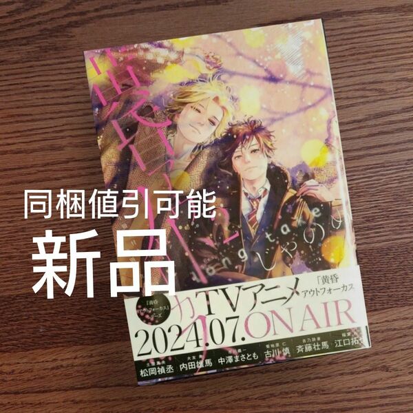 新品☆黄昏アウトフォーカス long take 2 小冊子付き特別仕立て/じゃのめ/BL/初版本☆定価1100円☆カテゴリ変更可能