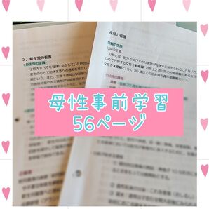 看護過程 母性実習 母性看護過程 アセスメント 事前学習 看護学生 看護実習