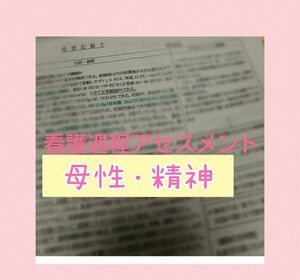 看護過程　看護実習　母性アセスメント　看護計画　看護学生　精神アセスメント