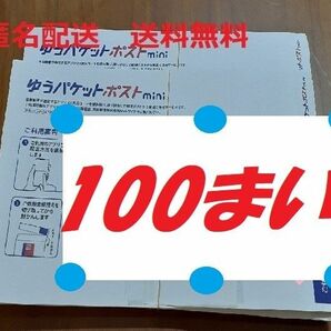 #01ゆ ゆうパケットポストmini100枚