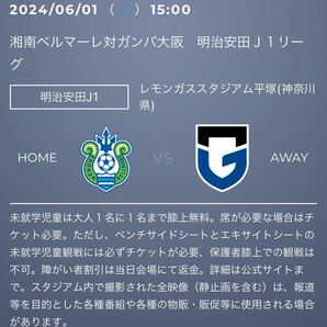 6月1日（土）湘南ベルマーレ VS FCガンバ大阪2枚セット　　　　　　　　　　　　　レモンガススタジアムバックＳ指定席ホーム