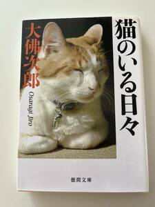 大佛次郎『猫のいる日々〈新装版〉』（徳間文庫、2015年、初版）、カバー付。374頁。