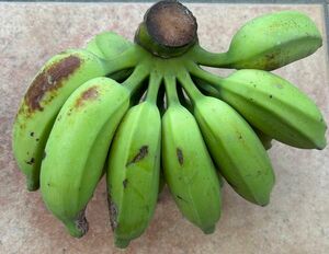 レア　沖縄県産黄輝バナナのバラバラ　2kg