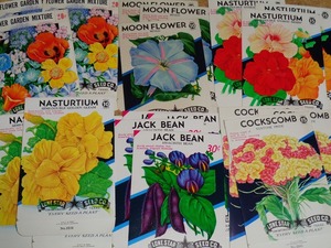  Vintage si-do label / Flower 20 sheets 