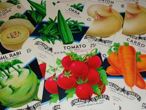  Vintage si-do label / Vegetable 20 sheets 