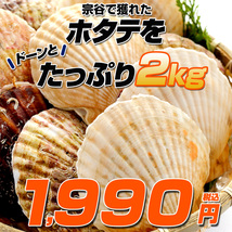 【北海道産】ホタテ 2kg | 宗谷地方 8～12枚前後 冷凍 両貝ホタテ 帆立 殻付きホタテ 貝付きホタテ 北海道産帆立 お中元 父の日ギフト_画像8