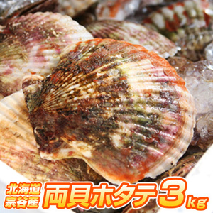 【北海道産】ホタテ 3kg | 宗谷地方 12～18枚前後 冷凍 両貝ホタテ 帆立 殻付きホタテ 貝付きホタテ 北海道産帆立 お中元 父の日ギフト