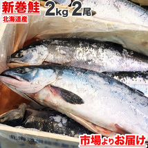 新巻鮭 北海道産 2kg 2尾 塩漬け 塩鮭 塩引き鮭 鮭 新巻 秋鮭 しゃけ サケ さけ 産地直送 辛い鮭 しょっぱい鮭 中元 お中元 御中元 父の日_画像1