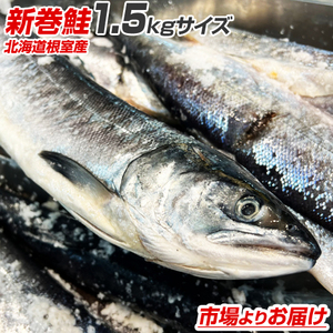 新巻鮭 姿 1.5kg前後 【数量限定】 塩鮭 荒巻鮭 さけ サケ 鮭 プレゼント 贈り物 贈答用 中元 お中元 御中元 父の日 父の日ギフト