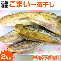 氷下魚 一夜干し 2kg 氷下魚 こまい コマイ 干物 寒海 かんかい カンカイ ヴァフニャ タラ 一夜干し 中元 お中元 御中元 父の日_画像1