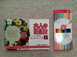 送料が安い♪ ぬりえ ぬり絵【大人の塗り絵 フランス宮 洋画 1 ＆ 色鉛筆 12色】花 フラワー バラ 趣味 ホビー 認知症予防 脳トレ