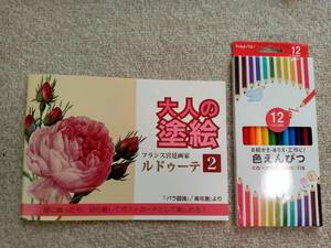 送料が安い♪ ぬりえ ぬり絵【大人の塗り絵 フランス宮廷 洋画 2 ＆ 色鉛筆 12色】花 フラワー バラ 趣味 ホビー 認知症予防 脳トレ