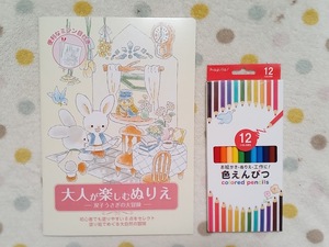 大人のぬりえ♪【2点セット 大人の塗り絵 うさぎのストーリー 色鉛筆12色】ぬり絵 動物 初心者に 認知症予防 脳トレ