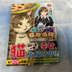 我輩は猫魔導師である3