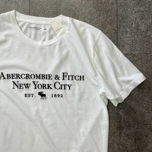 新品★アバクロメンズ刺繍ロゴＴシャツ★ホワイト★サイズＸＬ