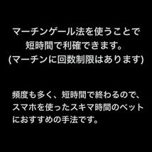 【2024年版】珠盤路(チューチャイロ)の特性を利用したロジック「バカラ逆張りマーチン法」/オンラインカジノ,ルーレット,ブラックジャック_画像3