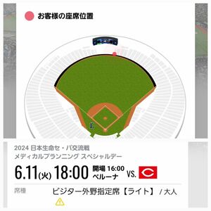 プロ野球 交流戦 ベルーナドーム 埼玉西武ライオンズVS広島カープ 大人 1枚