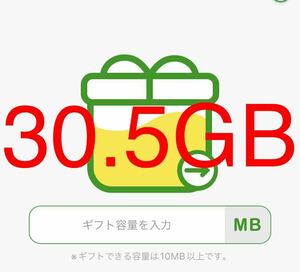 mineo マイネオ　パケットギフト　30.5GB