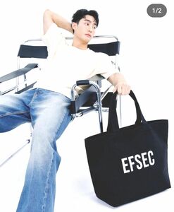 《新作》EFSEC　オリジナルトートバッグ　ブラック　ForceBook