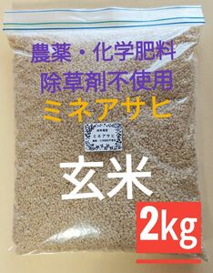 農薬不使用 除草剤不使用　 ミネアサヒ玄米　無農薬　2㎏　岐阜県産