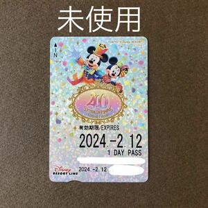 【穴なし 未使用】40周年 Dream Go round グランド フィナーレ 2024/2/12 ディズニー リゾートライン フリーきっぷ/切符 TDR