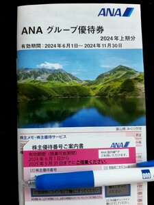 ANA 全日空 株主優待券 有効搭乗期間 2024年6月1日から2025年5月31日まで ANAグループ優待券 普通郵便にて発送