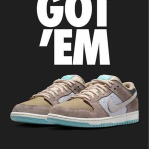 Nike SB Dunk Low Big Money Savings ナイキ SB ダンク ロー プロ ビッグマネー セービングス