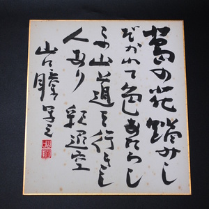 Art hand Auction [बिक गया] हितोमी यामागुची, कुडज़ू के फूलों को रौंद दिया जाता है और उनका रंग फिर से नया हो जाता है। एक आदमी था जो इस पहाड़ी रास्ते पर चलता था। शाकटिकु, हस्ताक्षर, रंगीन कागज, हस्ताक्षर, हस्तलिखित, शोवा युग, लेखक, निबंधकार, जापानी लेखक, हां पंक्ति, हितोमी यामागुची