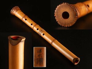 [ кото } бесплатная доставка традиционные японские музыкальные инструменты Zaimei столица гора . сякухати KV006