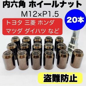 【盗難防止】貫通 ロックナット 20個 スチール P1.5 専用ソケット付 ガンメタ 内6角