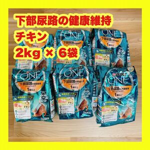 ピュリナワン 下部尿路の健康維持 1歳以上 チキン 2kg×6個