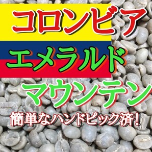 コロンビア エメラルドマウンテン コーヒー生豆1500g焙煎しておりません！簡単なハンドピック済み！スペシャリティコーヒー