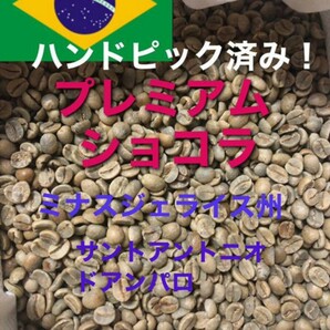 ブラジル プレミアム　ショコラ200gコーヒー生豆！焙煎してません！簡単なハンドピック済みです！ビターな味わいです！
