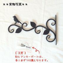 ハンキングブラケット ガーデンウォールフック プラントハンガー 園芸用品 小鳥 鳥 ガーデニング フック おしゃれ インテリア 装飾 屋外_画像7