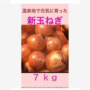 農薬不使用 温泉地で育った 元気な新玉ねぎ 7ｋｇ 玉ねぎ たまねぎ 玉葱