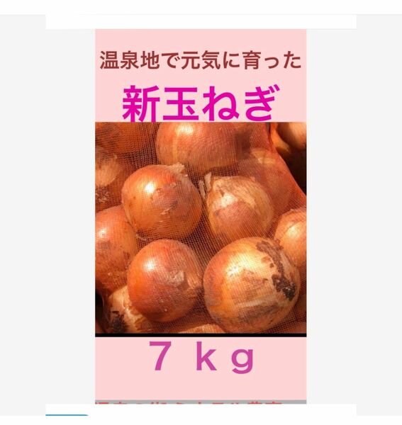 農薬不使用 温泉地で育った 元気な新玉ねぎ 7ｋｇ 玉ねぎ たまねぎ 玉葱