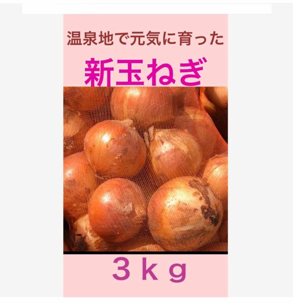 農薬不使用 温泉地で育った 新玉ねぎ 3ｋｇ 玉ねぎ たまねぎ 玉葱